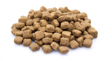 Brokken   003   adult maxi 0