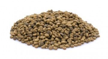 Brokken   150   premium puppy 0